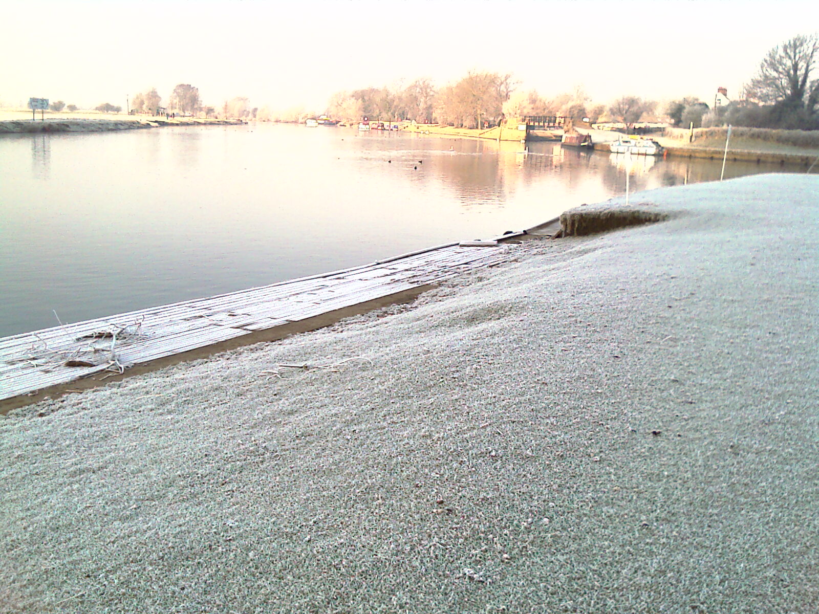 IMAG0133